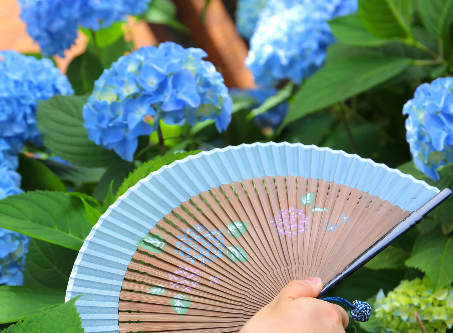 Small Sensu (Japanese folding fan) for Women - Hydrangea -