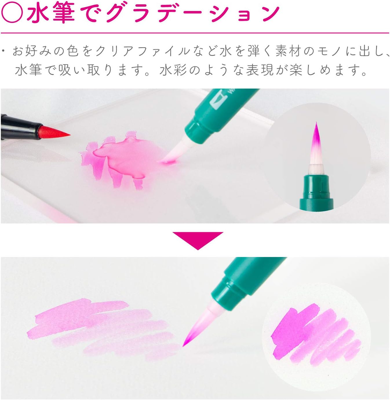 Tombow Pencil Dual Brush Pen 12 Color Set - Basic Color Set -, Hobonichi Accessories