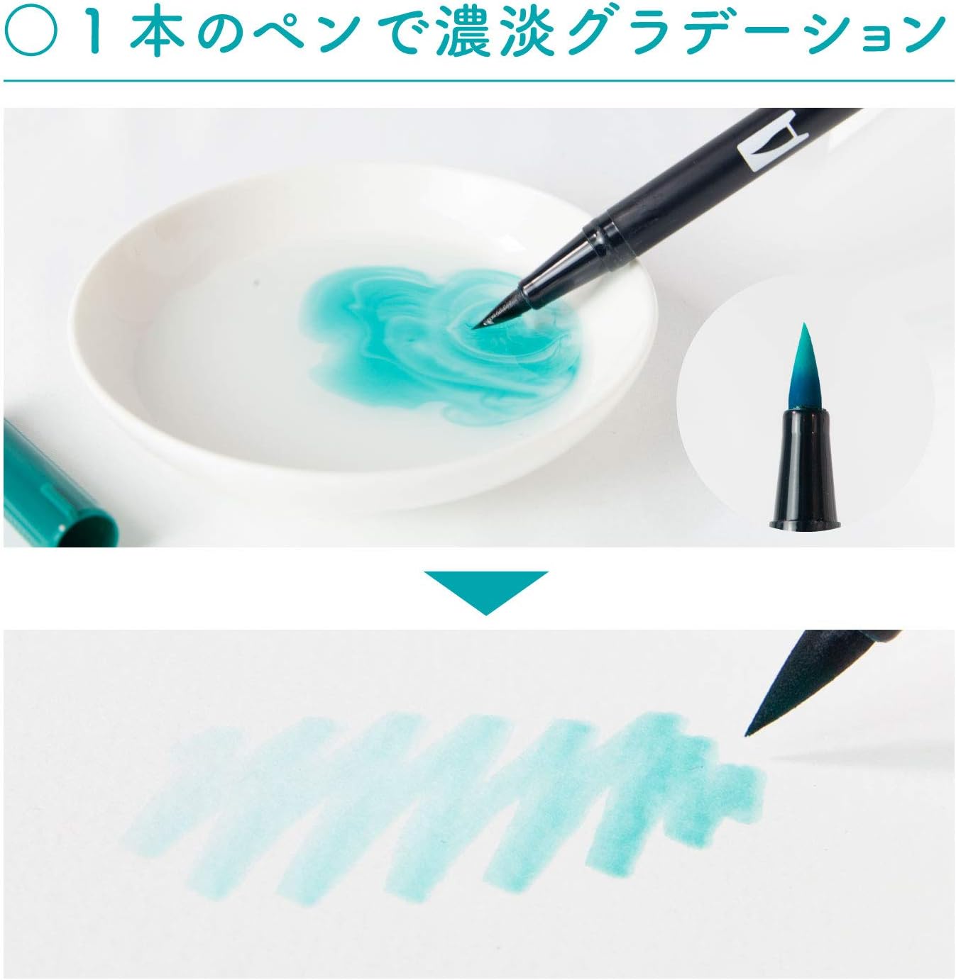 Tombow Pencil Dual Brush Pen 12 Color Set - Basic Color Set -, Hobonichi Accessories