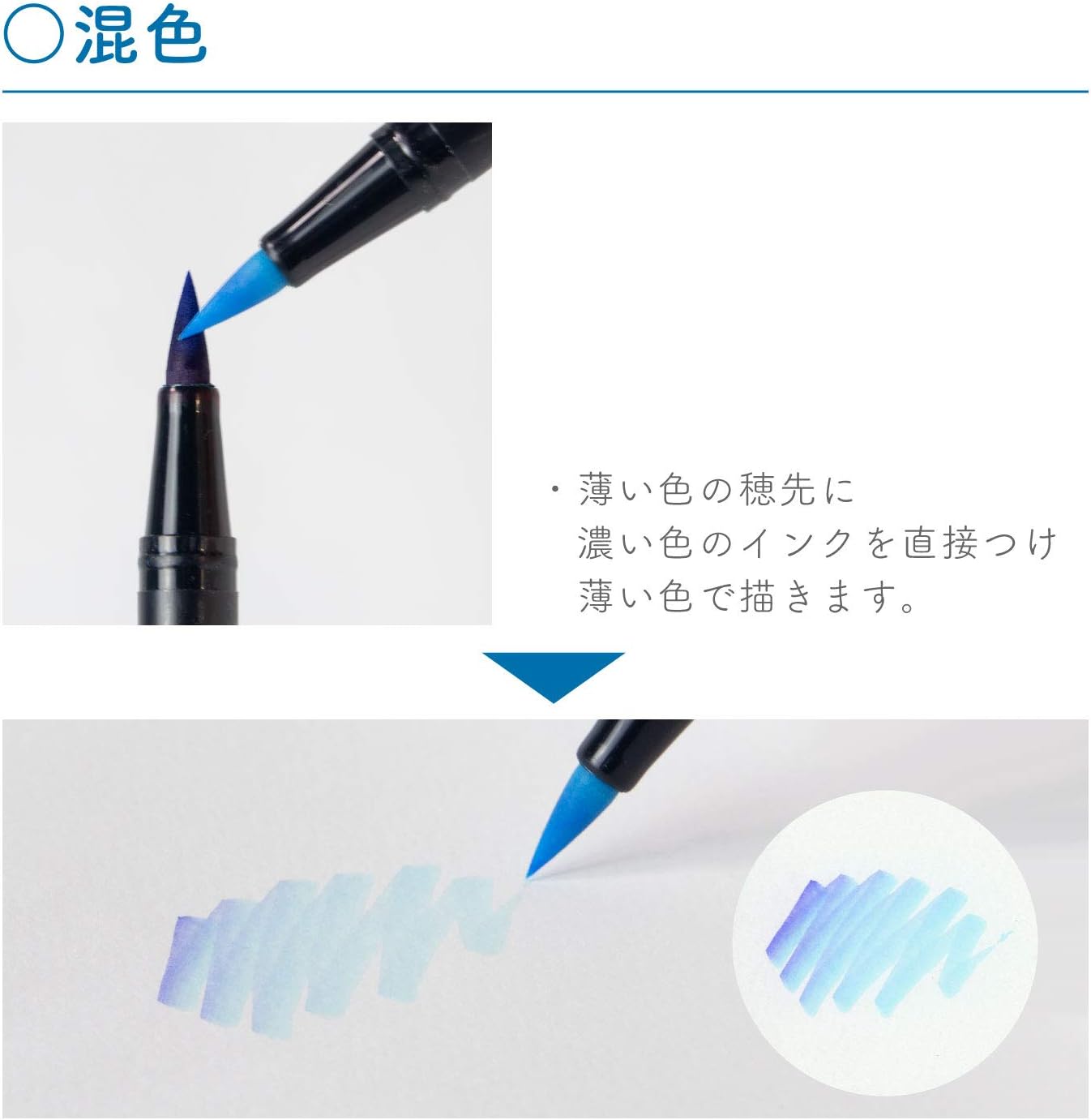 Tombow Pencil Dual Brush Pen 12 Color Set - Basic Color Set -, Hobonichi Accessories