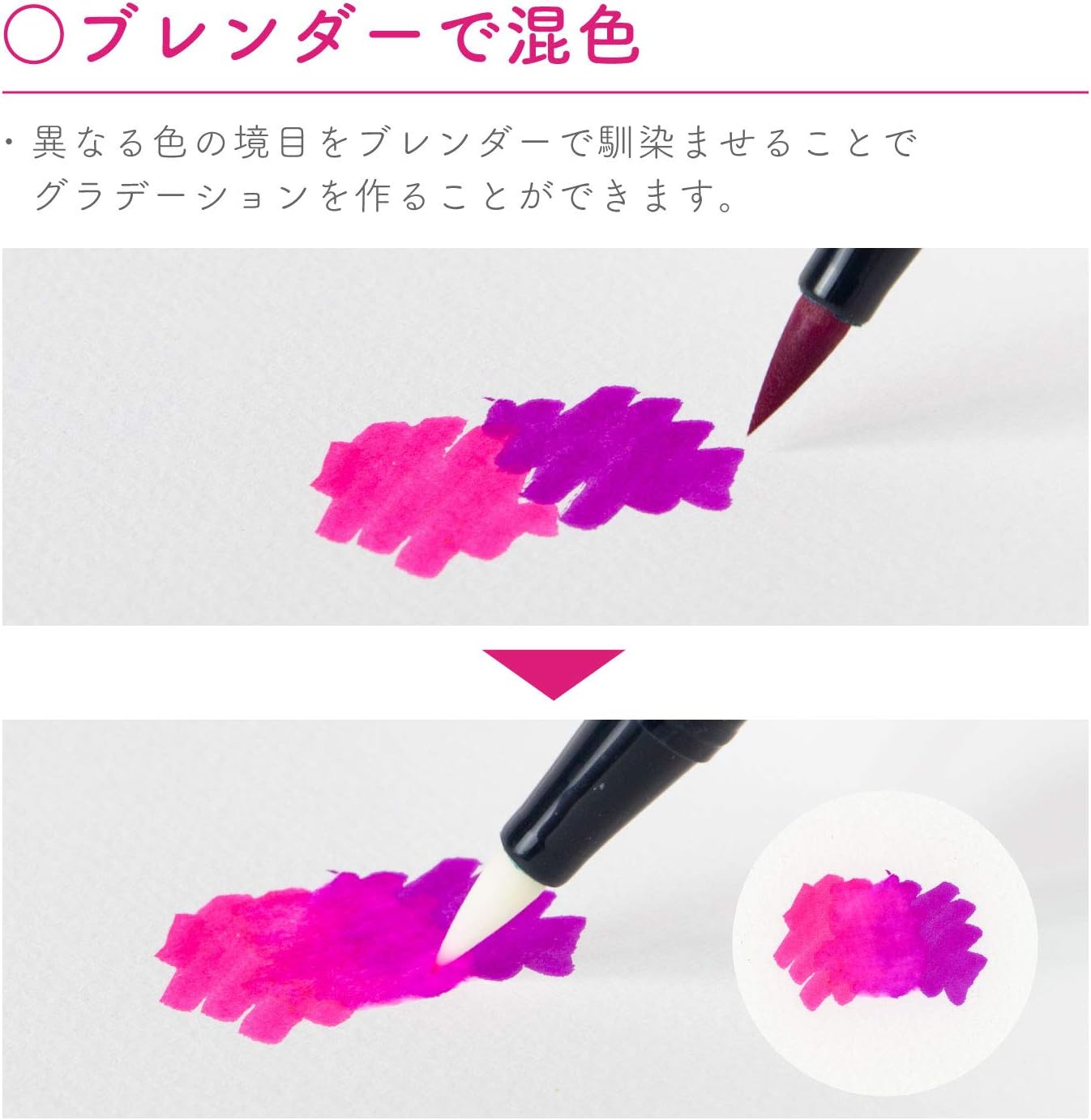 Tombow Pencil Dual Brush Pen 12 Color Set - Basic Color Set -, Hobonichi Accessories