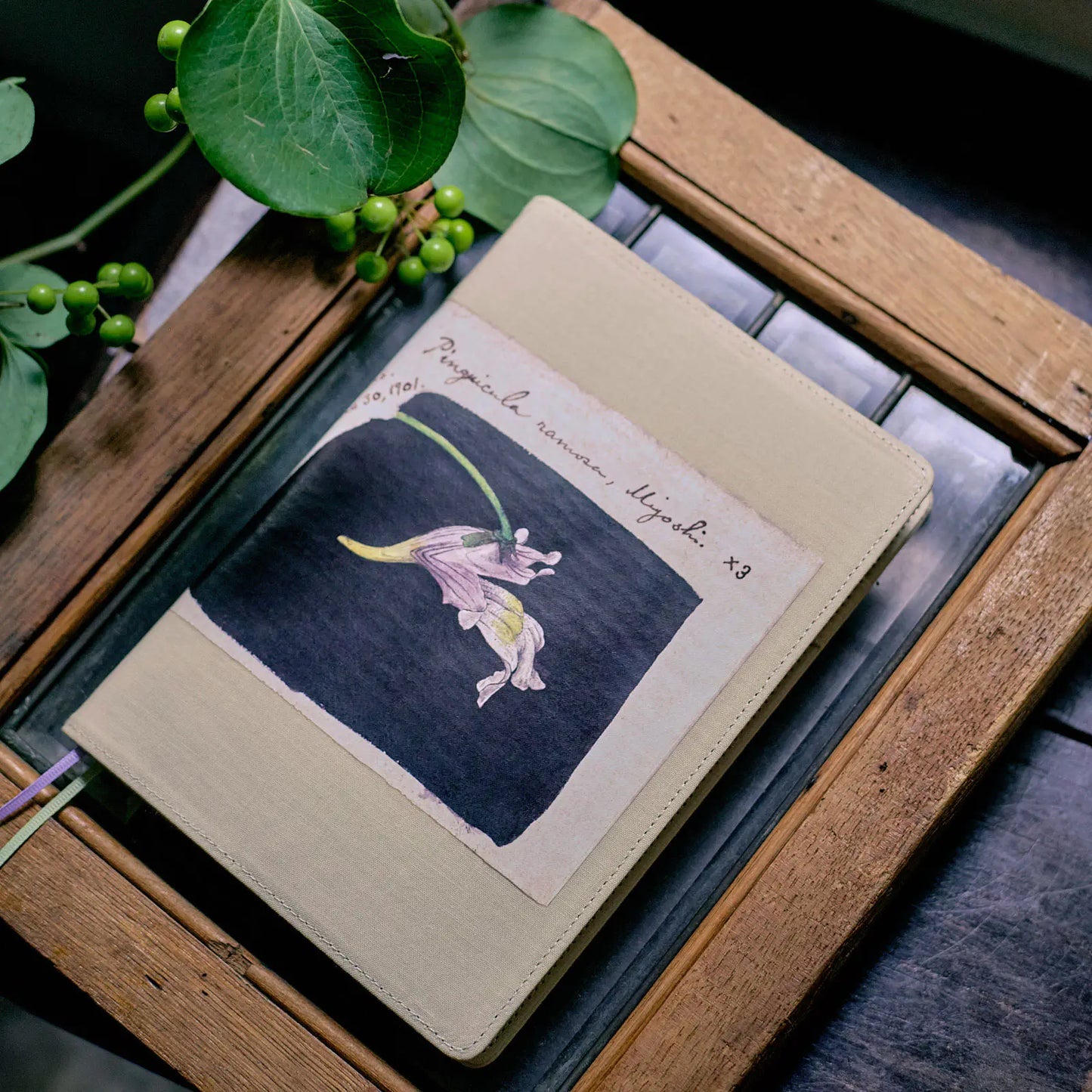 Tomitaro Makino: Koshinso [Hobonichi Cousin (A5) Techo Cover] (Cover Only)