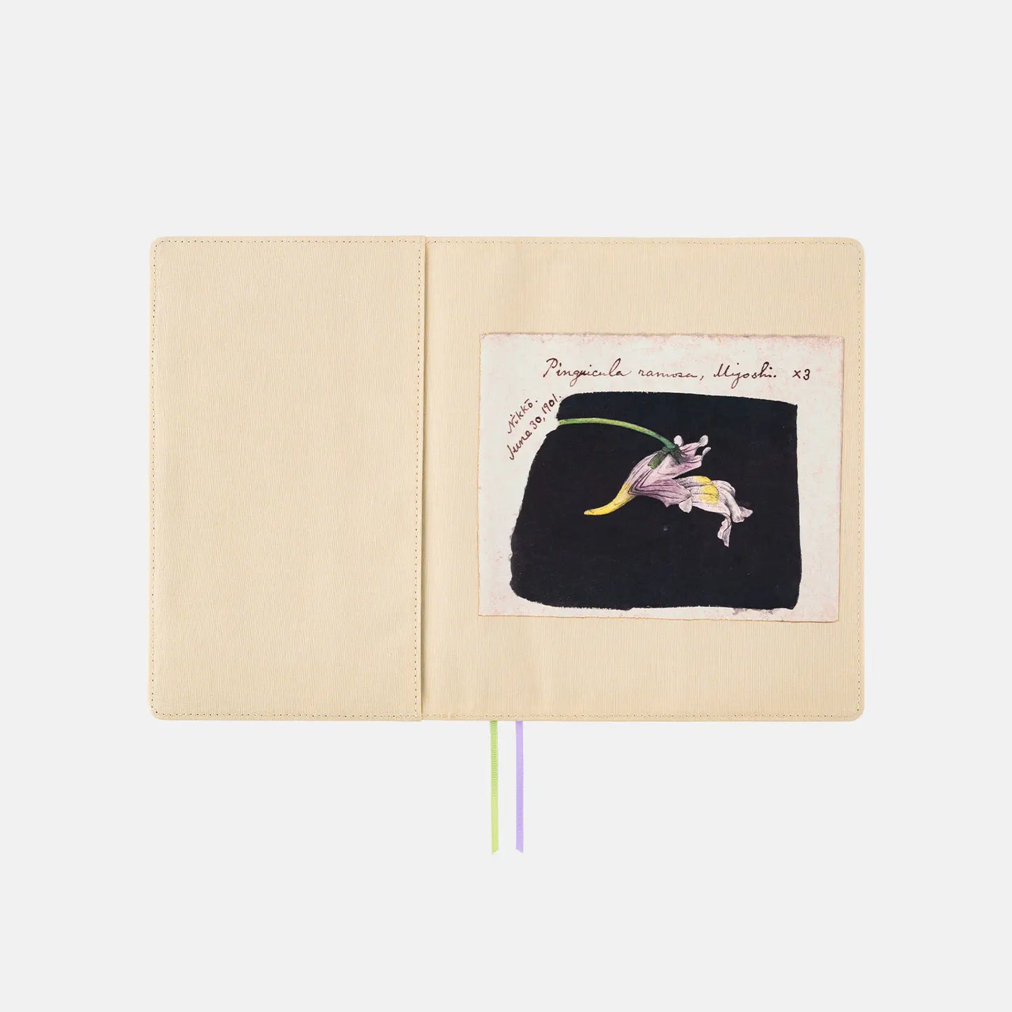 Tomitaro Makino: Koshinso [Hobonichi Cousin (A5) Techo Cover] (Cover Only)