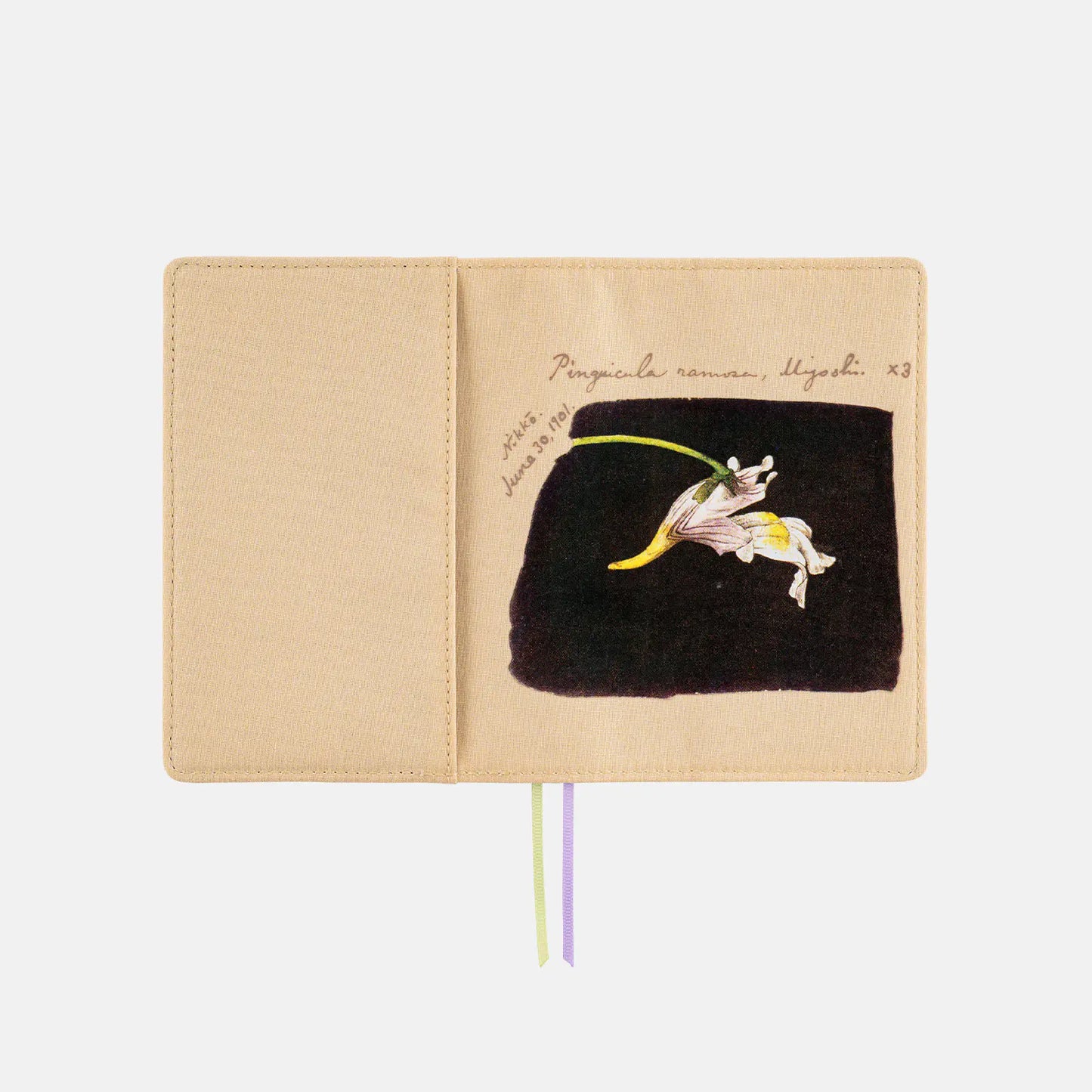 Tomitaro Makino: Koshinso [Hobonichi Original (A6) Techo Cover] (Cover Only)