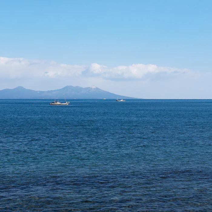 Tsugaru Vidro Mini Glass 4 pcs Set - Japanese Sea - , Japanese Sake Cup , Made in Japan