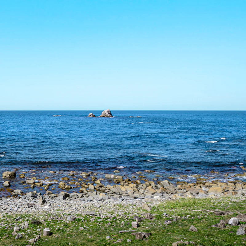 Tsugaru Vidro Mini Glass 4 pcs Set - Japanese Sea - , Japanese Sake Cup , Made in Japan