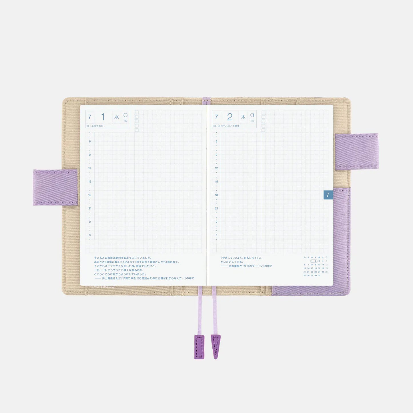 Unsodo: Bijutsukai (Plum and Dianthus) [Hobonichi Original (A6) Techo Cover] (Cover Only)