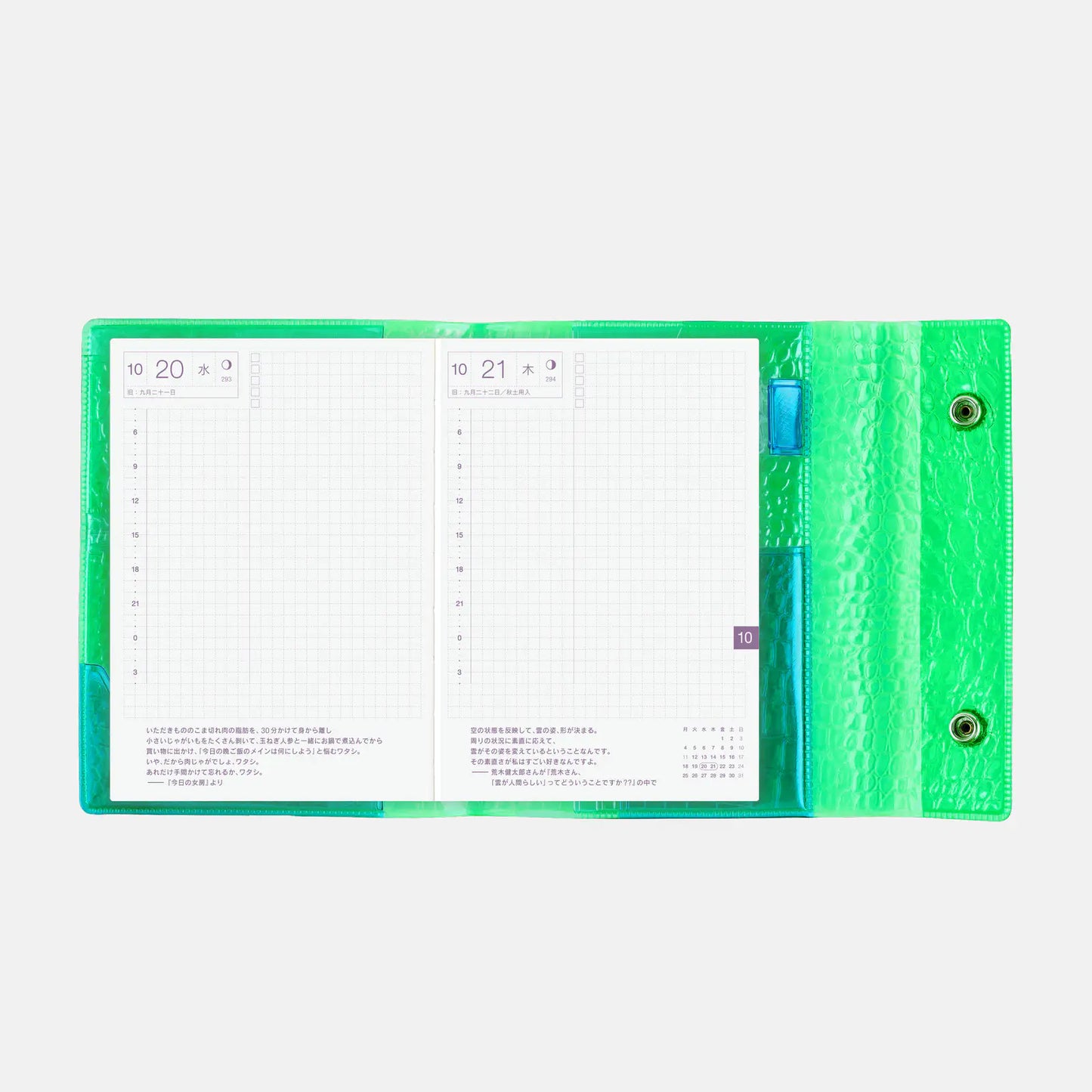 beautiful people: Nothing to Hide (Green) [Hobonichi Original (A6) Techo Cover] (Cover Only)