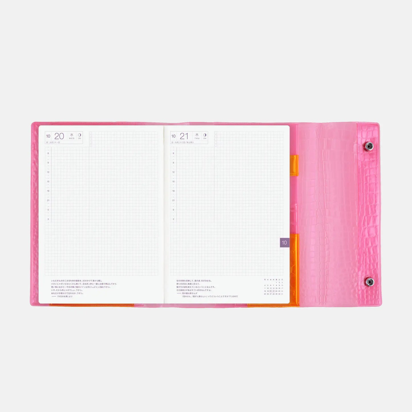 beautiful people: Nothing to Hide (Pink)  [Hobonichi Cousin (A5) Techo Cover] (Cover Only)